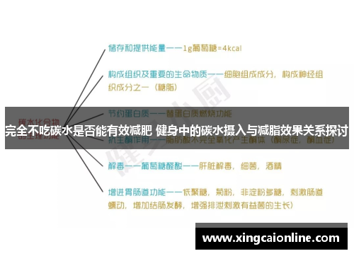 完全不吃碳水是否能有效减肥 健身中的碳水摄入与减脂效果关系探讨