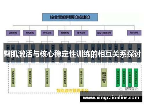 臀肌激活与核心稳定性训练的相互关系探讨