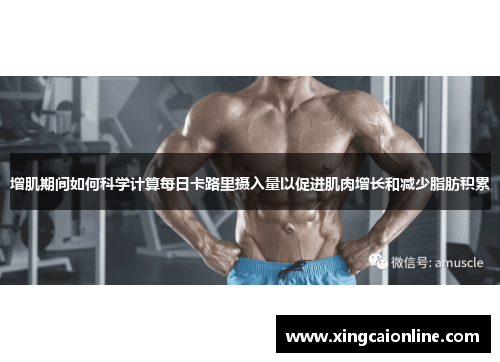 增肌期间如何科学计算每日卡路里摄入量以促进肌肉增长和减少脂肪积累